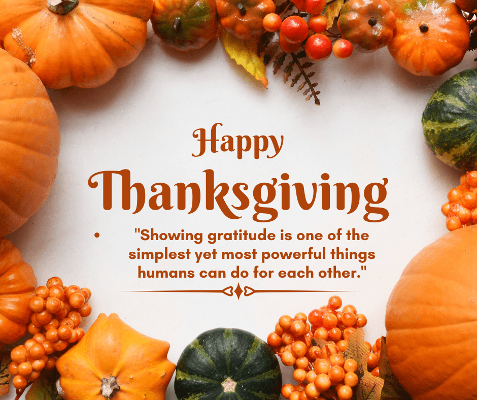 funny happy thanksgiving quotes