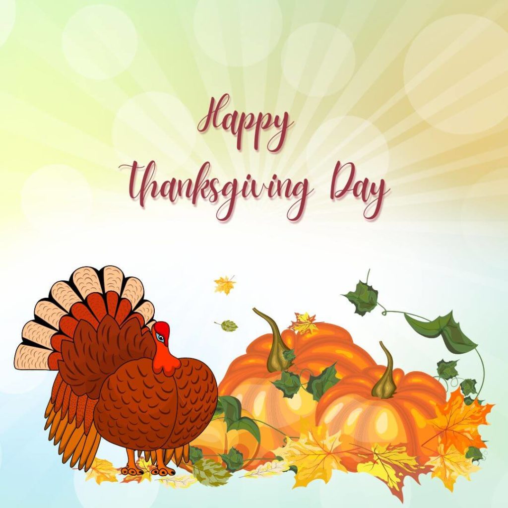 75+ Thanksgiving Turkey Images, Photos, Clipart Pictures Drawings ...