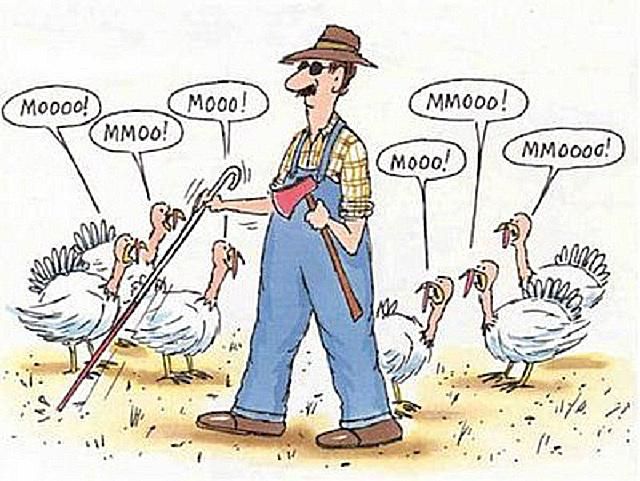Funny Thanksgiving Meme Images