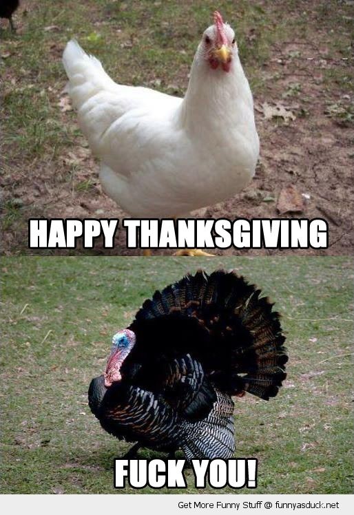 Funny Thanksgiving Memes