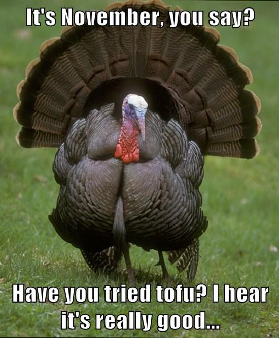 Funny Thanksgiving Turkey Memes