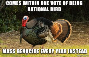 Funny Thanksgiving Turkey Meme
