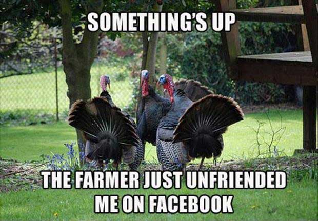 Thanksgiving Memes