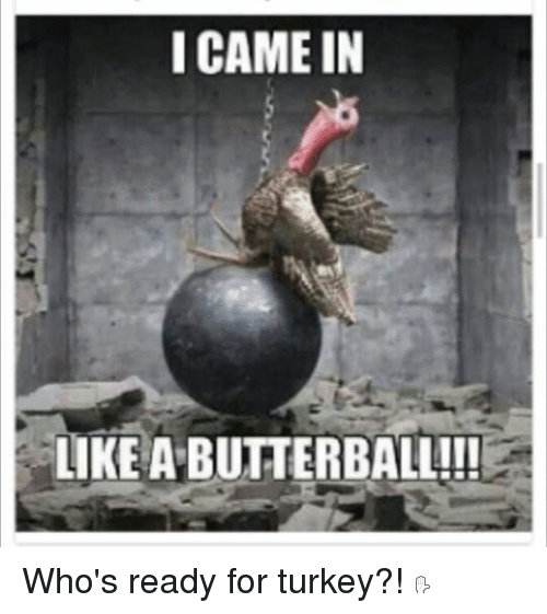 Thanksgiving Turkey Meme For Pinterest