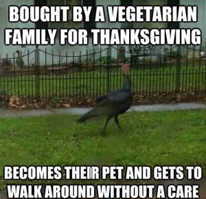 hilarious thanksgiving turkey memes