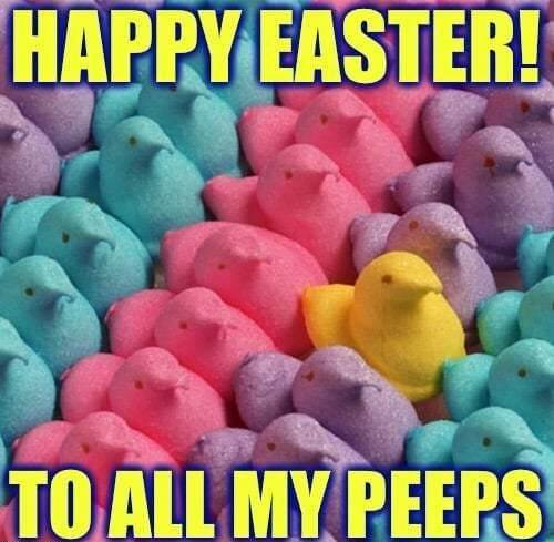 Funny Easter Memes For Adults