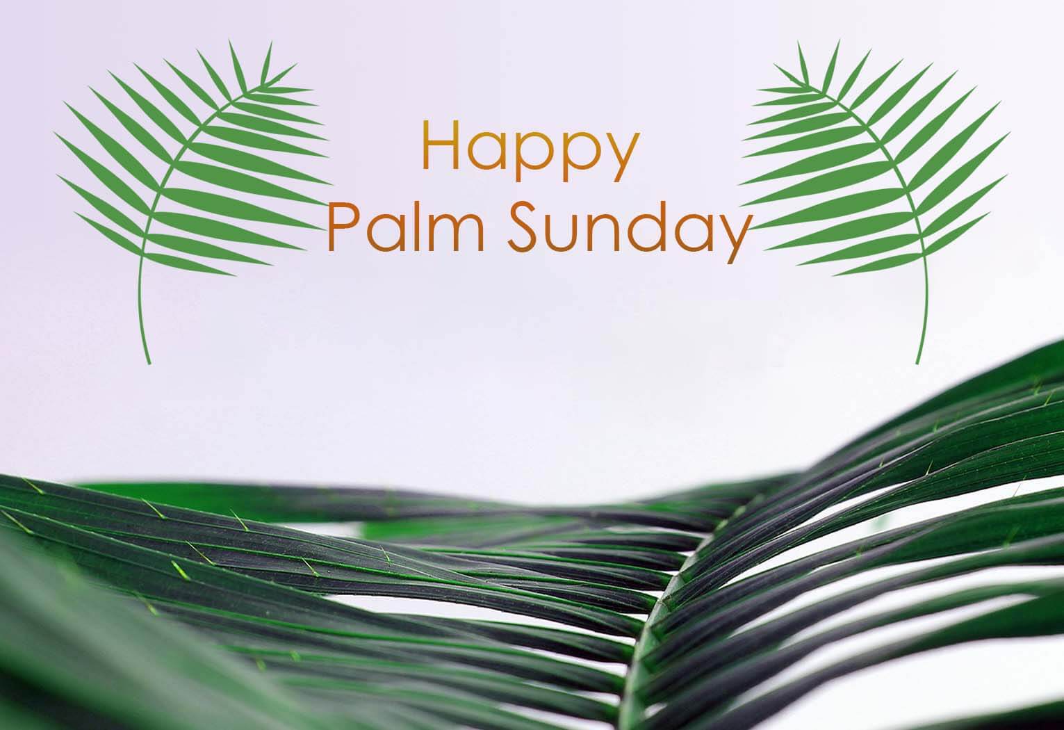 Happy Palm Sunday Messages and Greetings